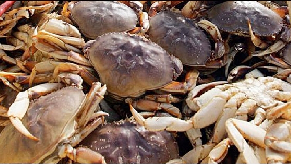 Dungeness crab season gets underway off the Oregon Coast KATU