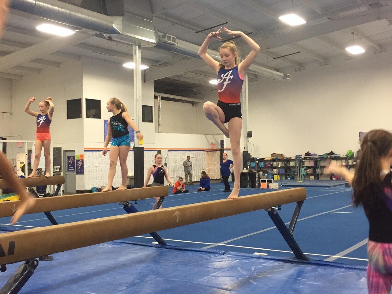 Local gymnastics team heads to State Championship WLUK