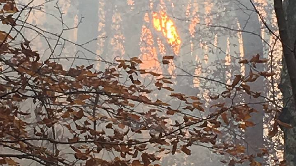 Forest fire in Nelson County grows to nearly 1,000 acres WSET