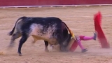 Spanish matador fatally gored, first time since 1985