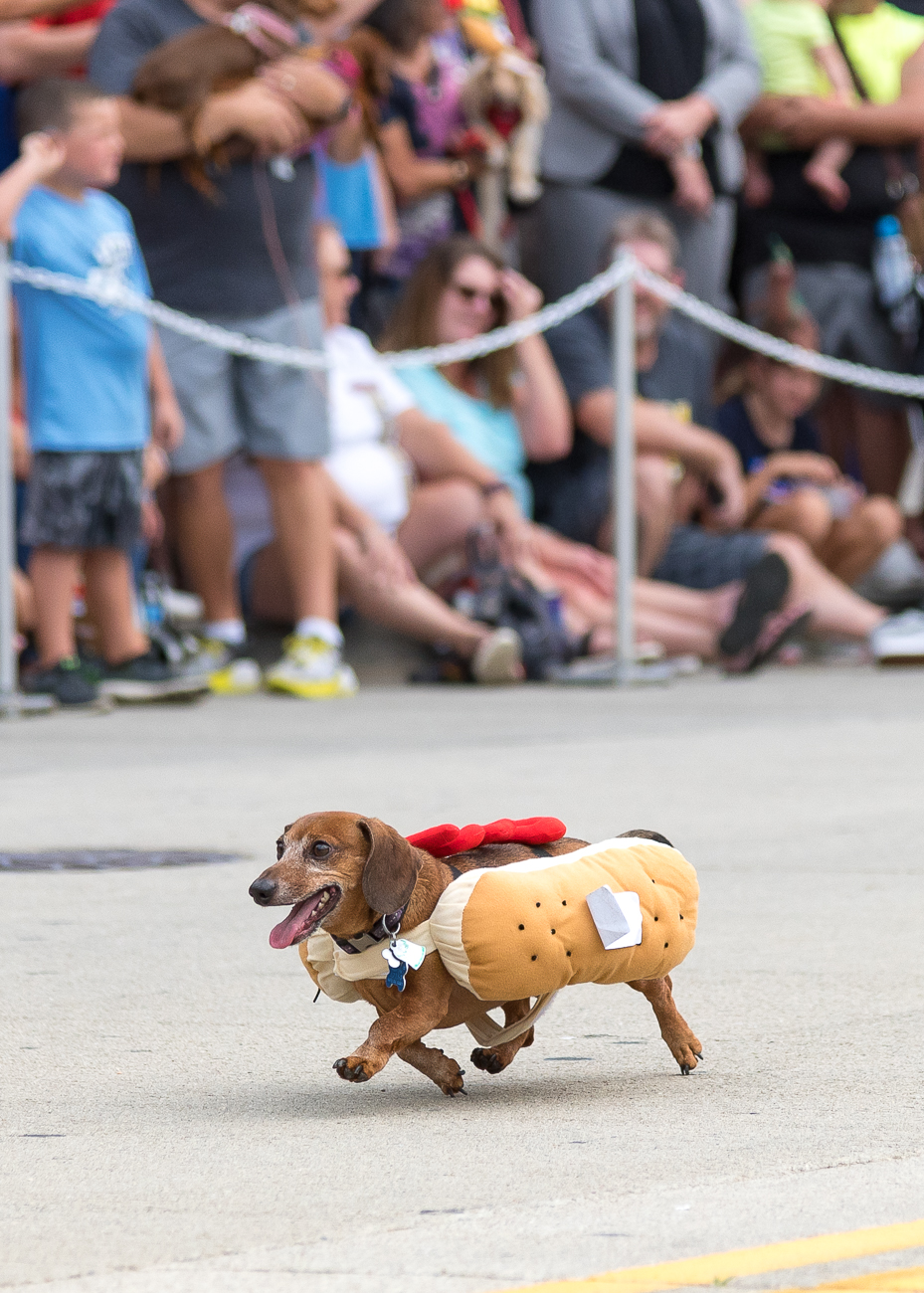 50 Photos from the 11th Annual Running of the Wieners Cincinnati Refined