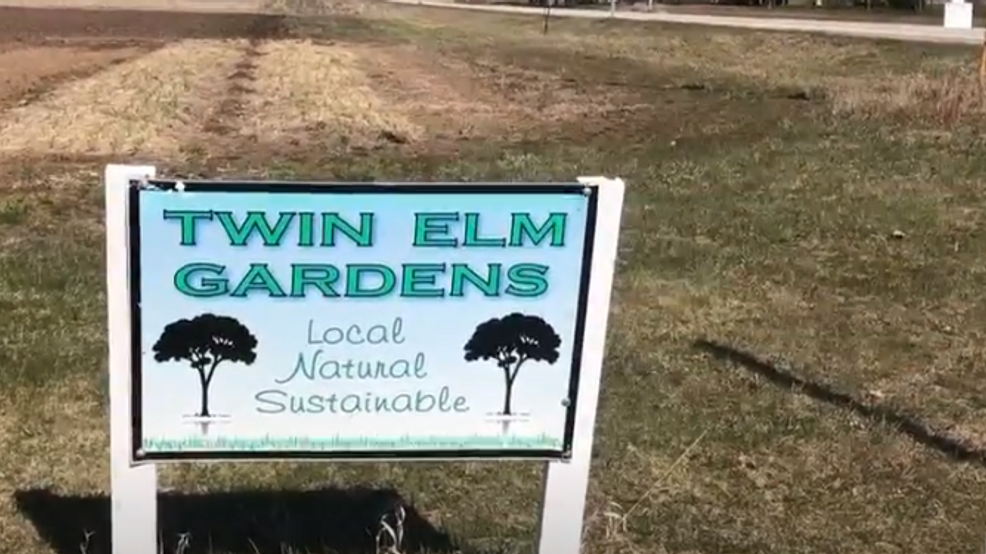 Twin Elm Gardens teams up with other businesses during pandemic WLUK