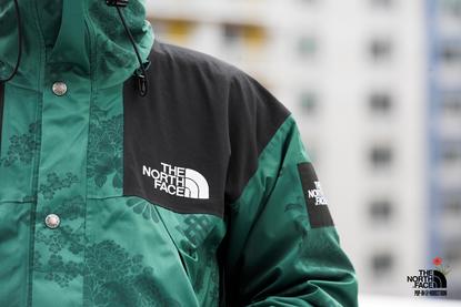nordstrom northface jacket