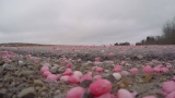 VIDEO: Crews clear thousands of red Skittles off of highway