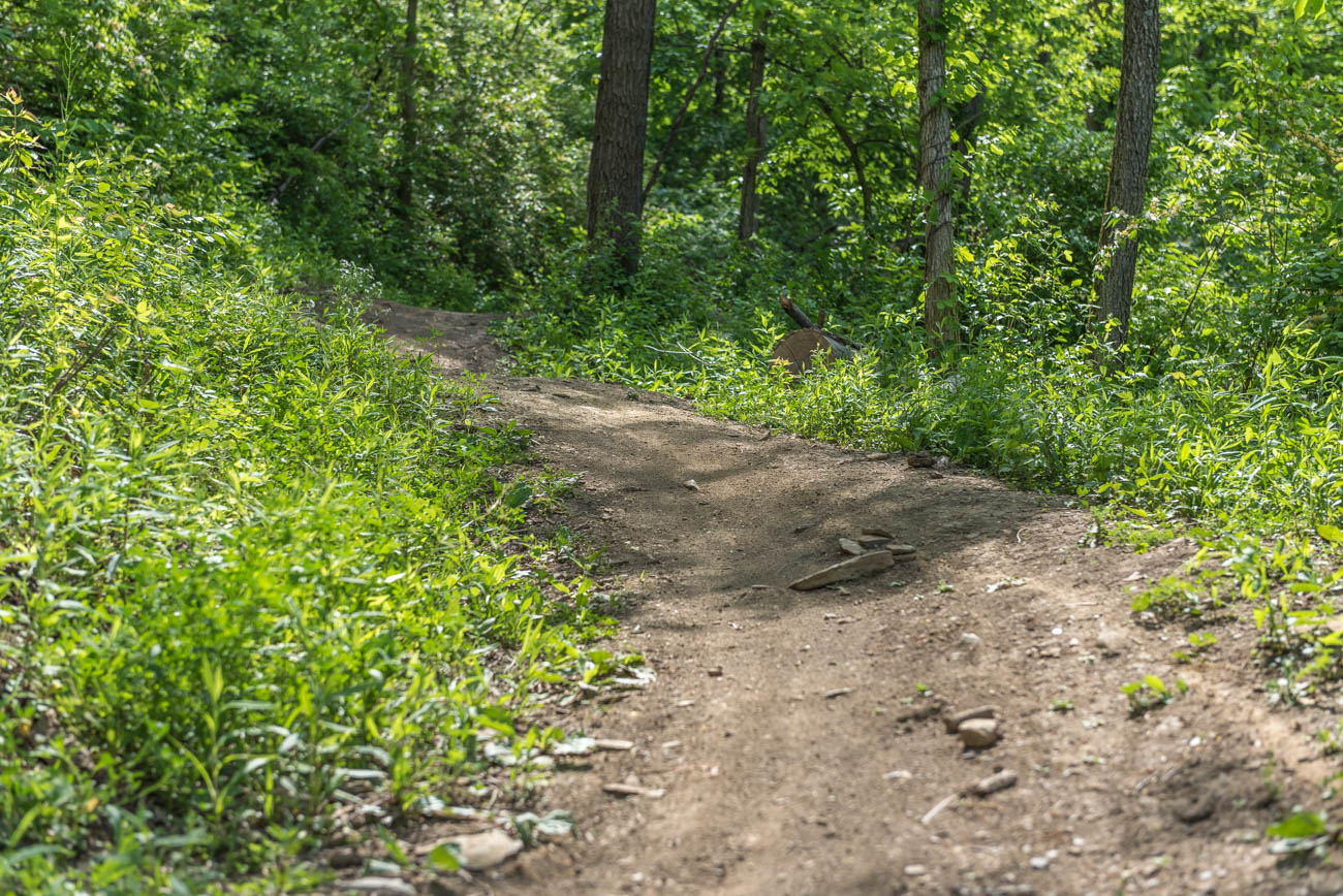 devou park mtb trails