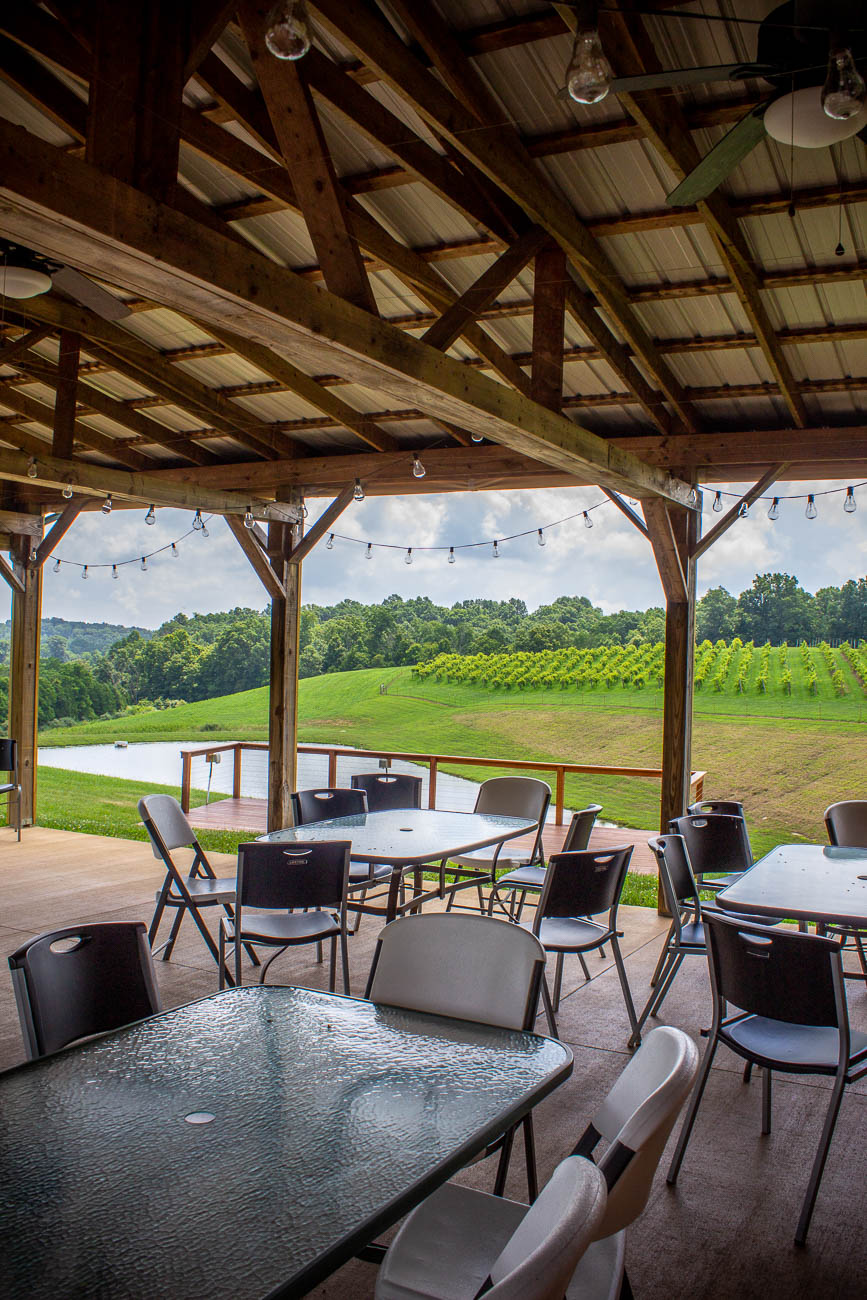 Explore NKY's Wine Heritage With a Curated Tour of These 8 Wineries