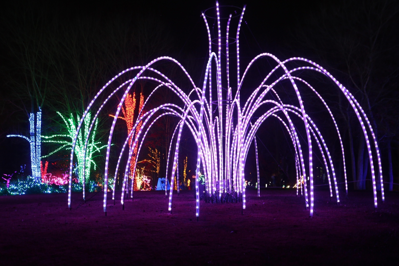 Lighten up at Meadowlark’s Winter Walk of Lights DC Refined