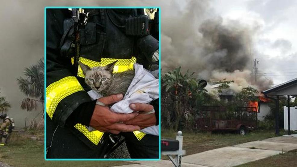 Video: Kittens Rescued From Florida House Fire | WPEC