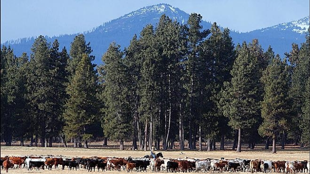 131204_Klamath_Water_660.jpg
