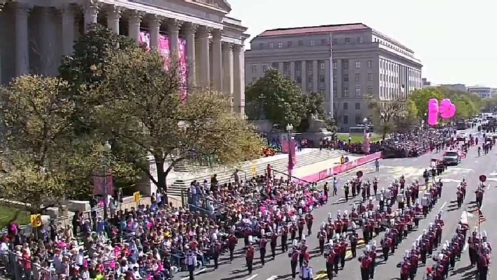 WATCH LIVE National Cherry Blossom Parade WBFF