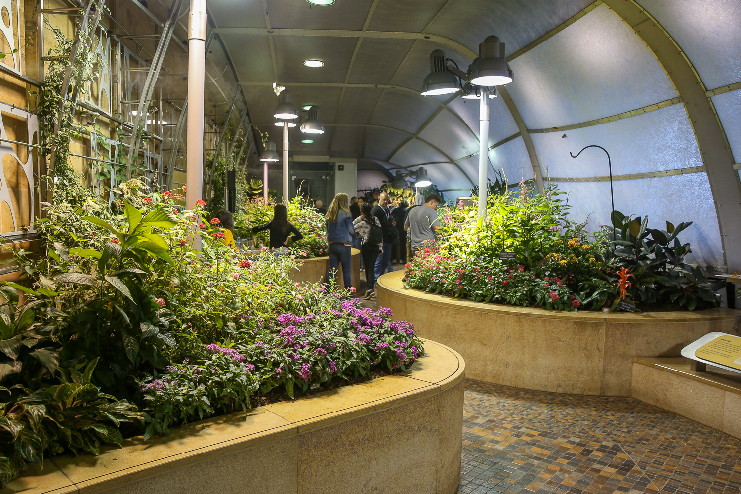 The Butterfly Pavilion at the Natural History Museum is so dreamy DC