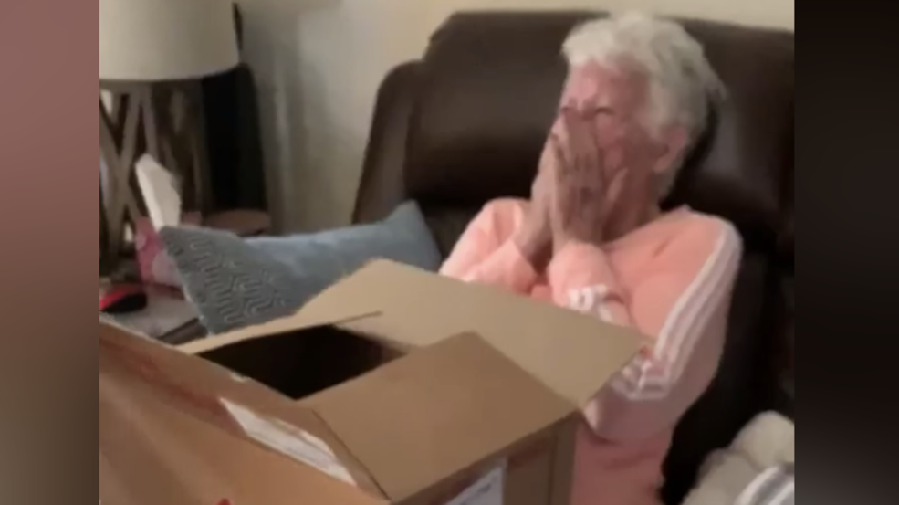 Grandma gets surprised by a puppy (@ali_bubbles10) Grandma gets surprised by a puppy