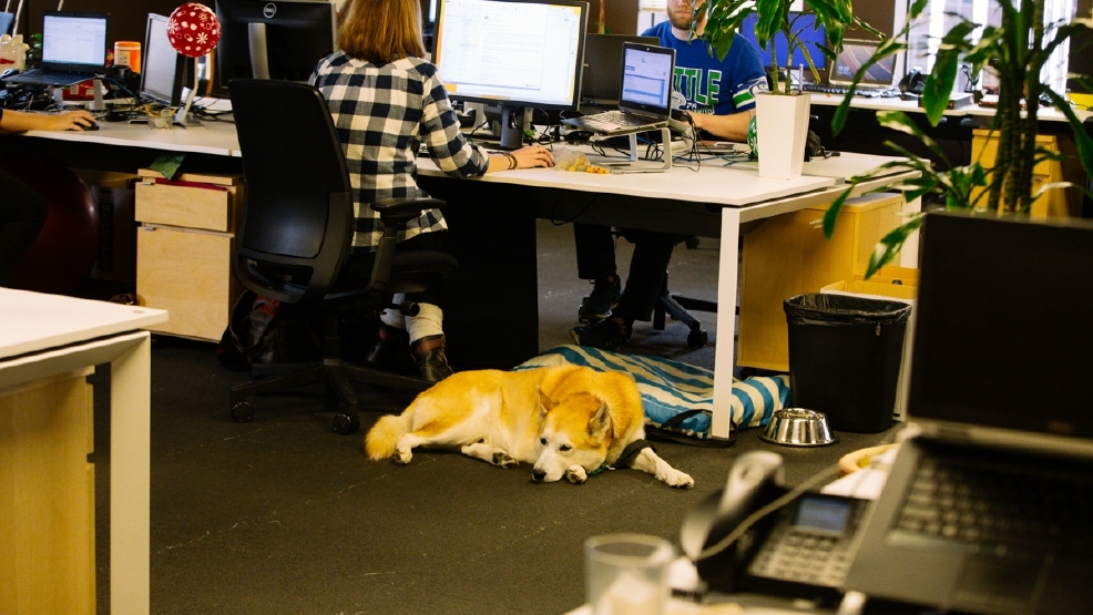 Most dogfriendly offices in Seattle Seattle Refined