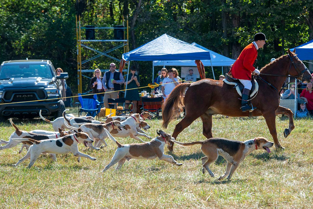 Camargo Hunter Trials Cincinnati Refined
