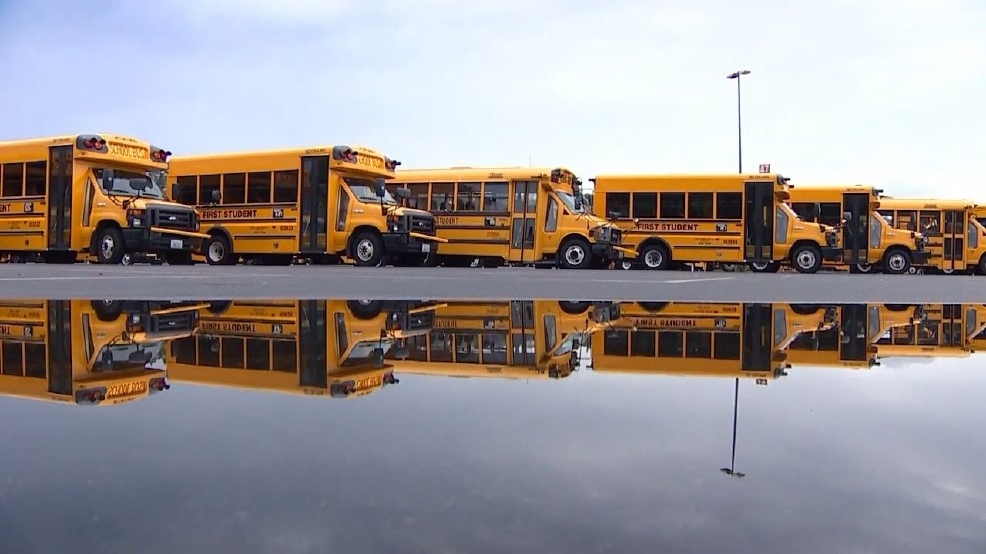 School buses parking lot (KOMO) .jpg School buses parking lot (KOMO) .jpg