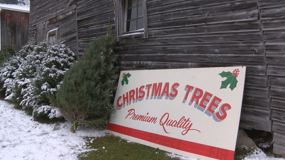 Northern Michigan Christmas tree farm inspires family traditions WPBN