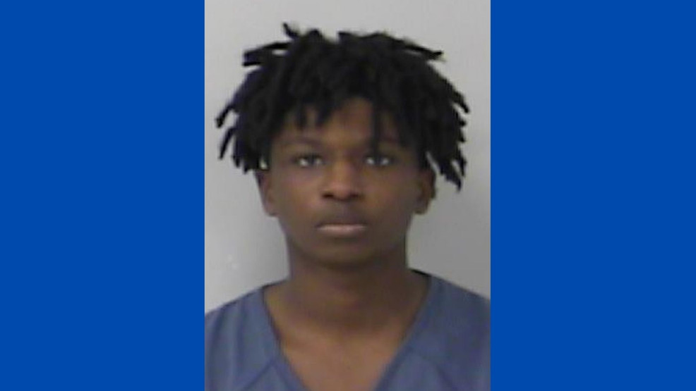 Port St. Lucie teen accused of going on citywide crime spree WTVX