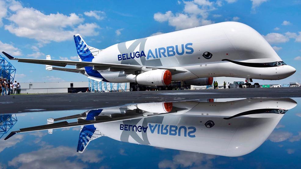 new airbus transport aircraft belugaxl sports whale"s grin