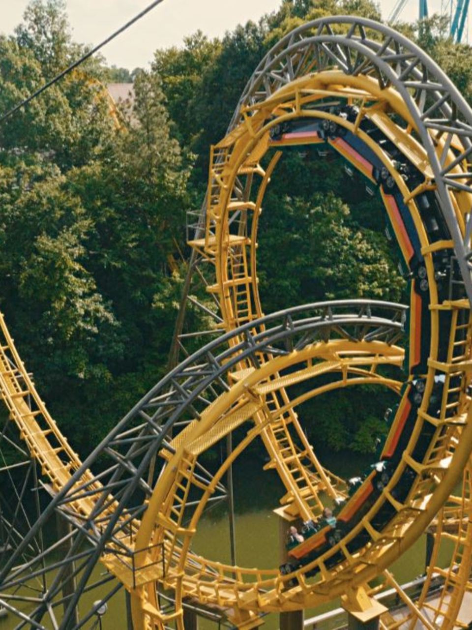 Busch Gardens Loch Ness Monster Coaster Turns 40 Wcyb