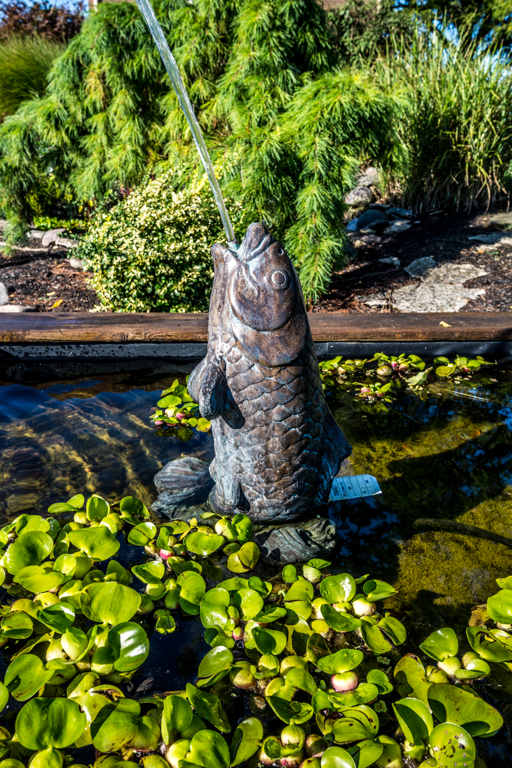 This Magical Aquatic and Garden Store Is a Decor Destination Cincinnati Refined