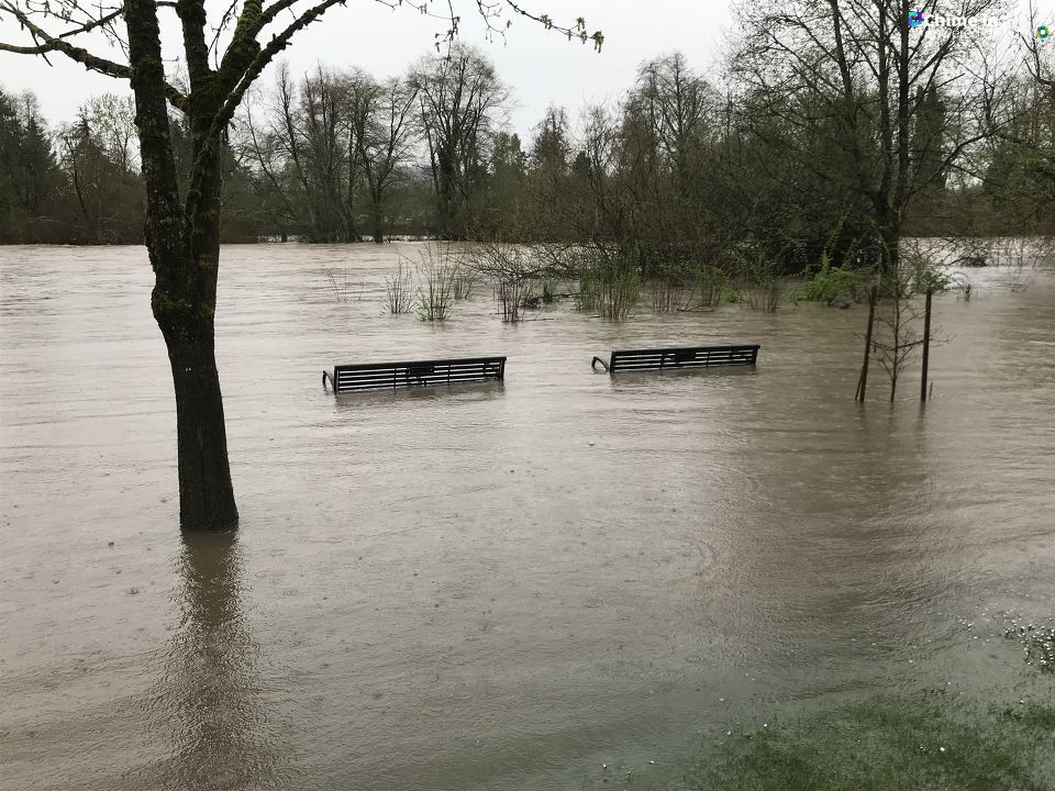 Power Nissan Salem Oregon >> 'The public is asked to please avoid any flooded areas': Eugene, Springfield parks flood | KVAL Power Nissan Salem Oregon >> 'The public is asked to please avoid any flooded areas': Eugene, Springfield parks flood | KVAL